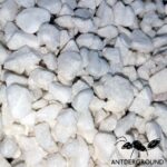 Grava decorativa (100 gr)