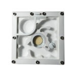 Ant nest with mushroom and sponge (10 x 10)