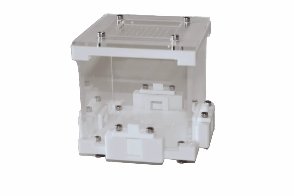 caja de forrajeo 10x10