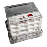 Vertical ant nest with mushroom