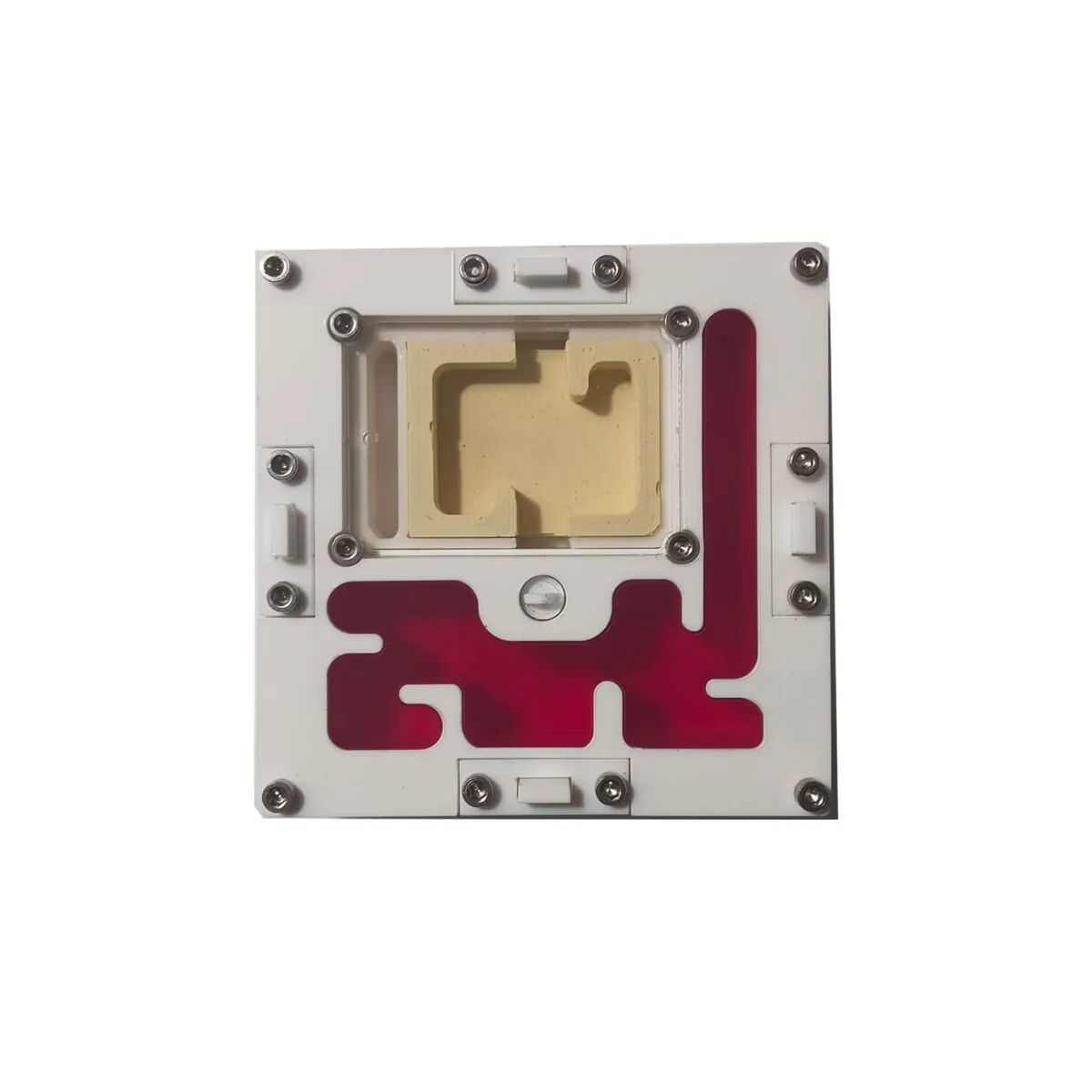 hormiguero modular yeso acrílico 10 x 10 - Imagen 4