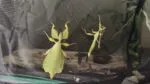 Phyllium celebicum - immagine 3
