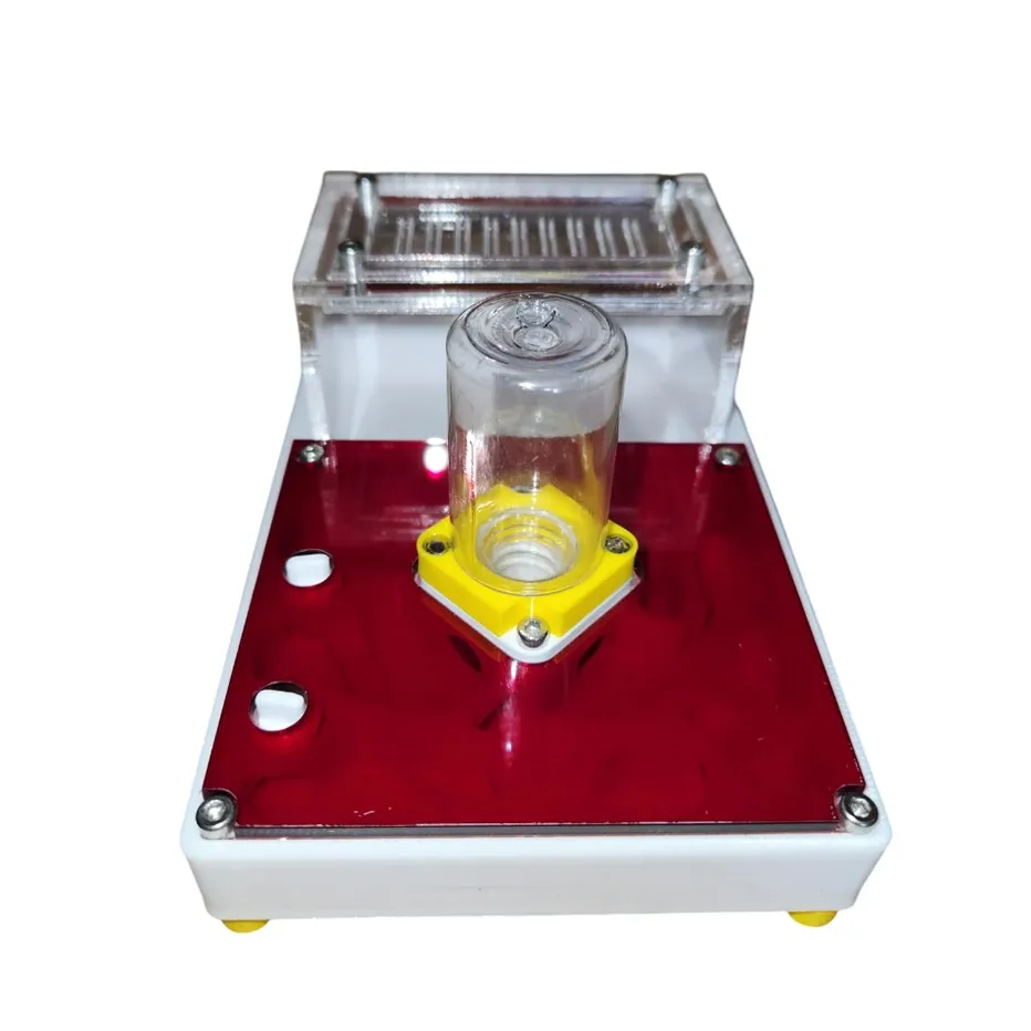 Formikarium 3D 10×15 z areną v2 - obrazek 2