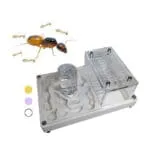 Formiguer 3D (10x15)  + Camponotus fedtschenkoi (Reina amb 3 a 5 obreres)