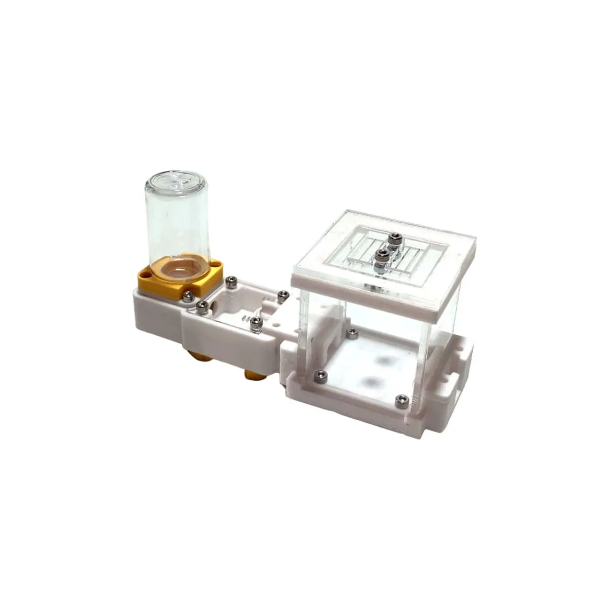 Ant colony starter kit - Image 4