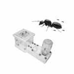 formigueiros 3d