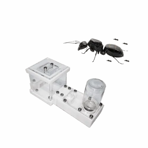 formiguer 3d