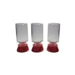 Kit de bebedouros para formigas de 20 ml (3 uds). - Imagem 2