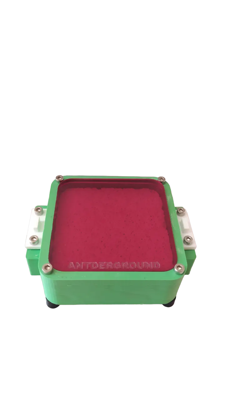 Crea la tua formicaria (ytong) - immagine 2