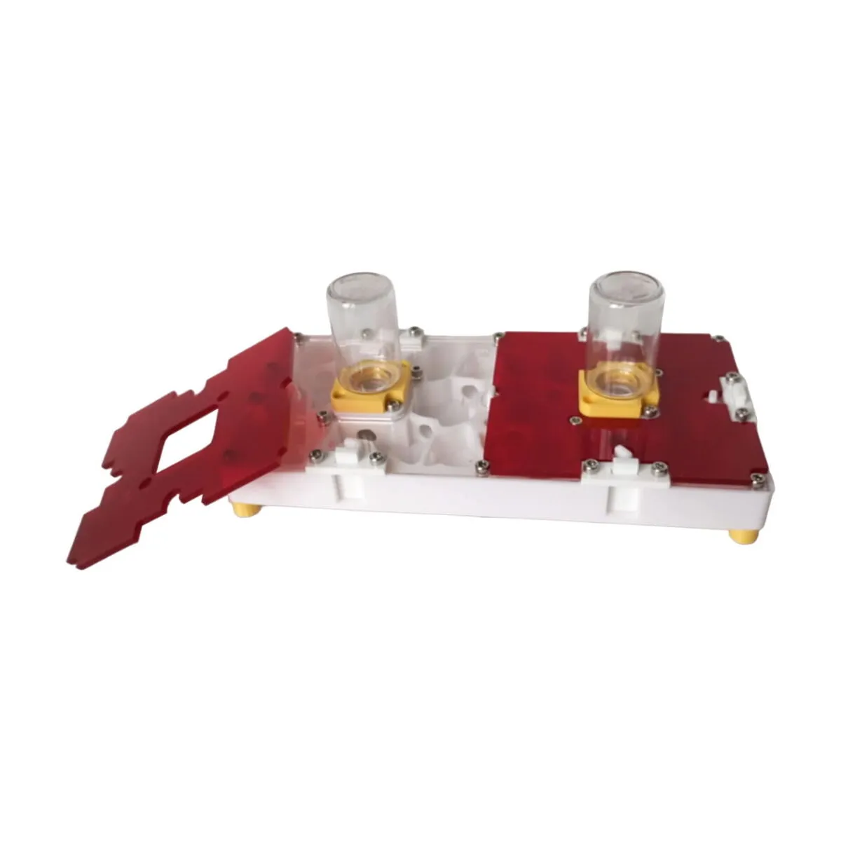 fourmilière modulaire 3D (10x20) – Image 4