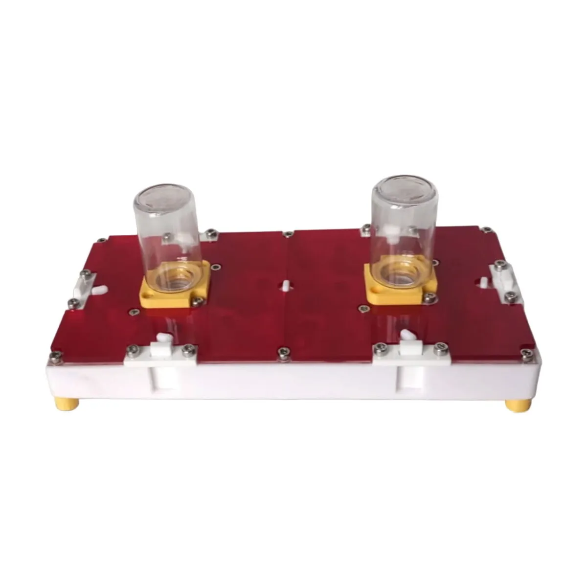 fourmilière modulaire 3D (10x20) – Image 2
