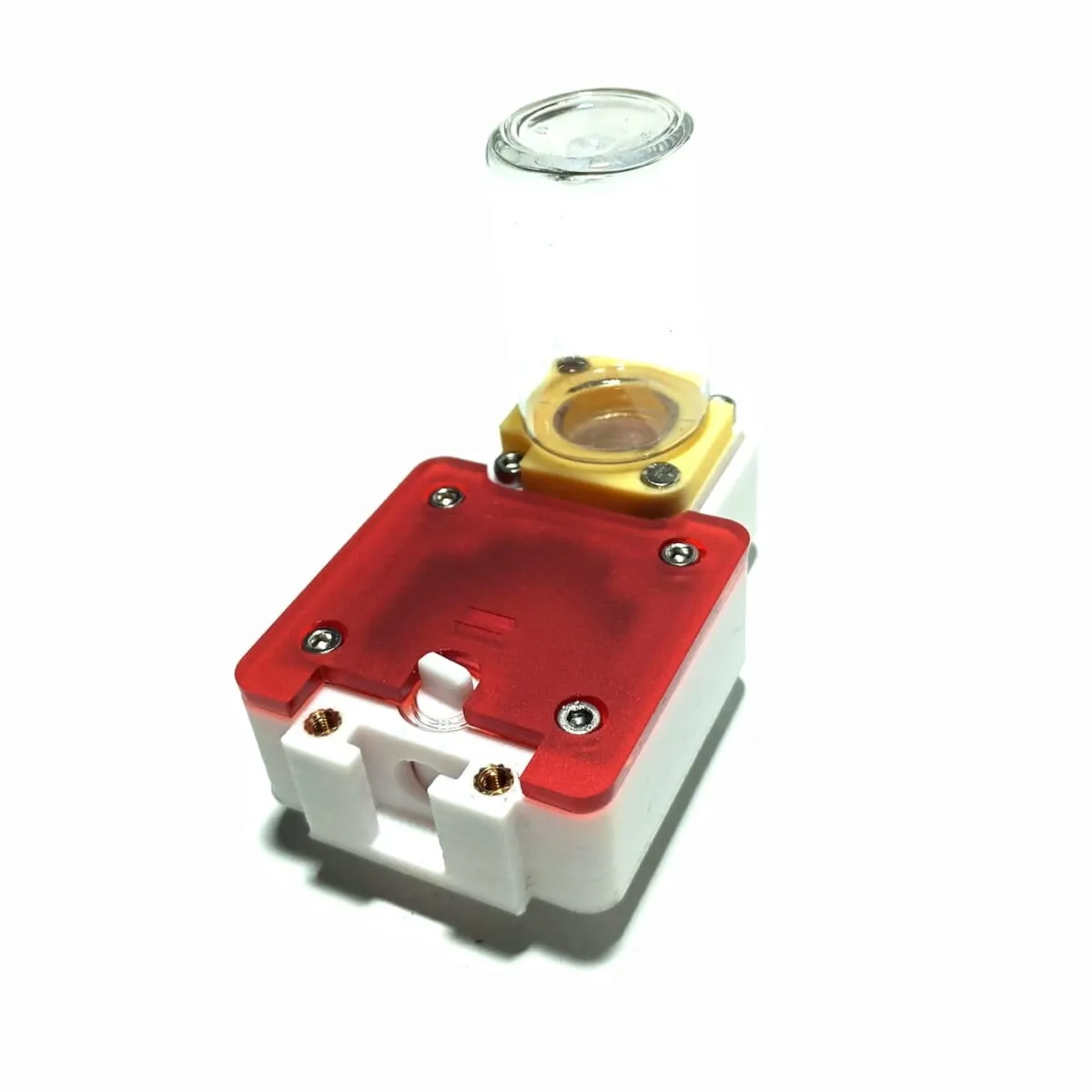 Hormiguero 3D de madera 8x5 cm (Reinero) - Imagen 2