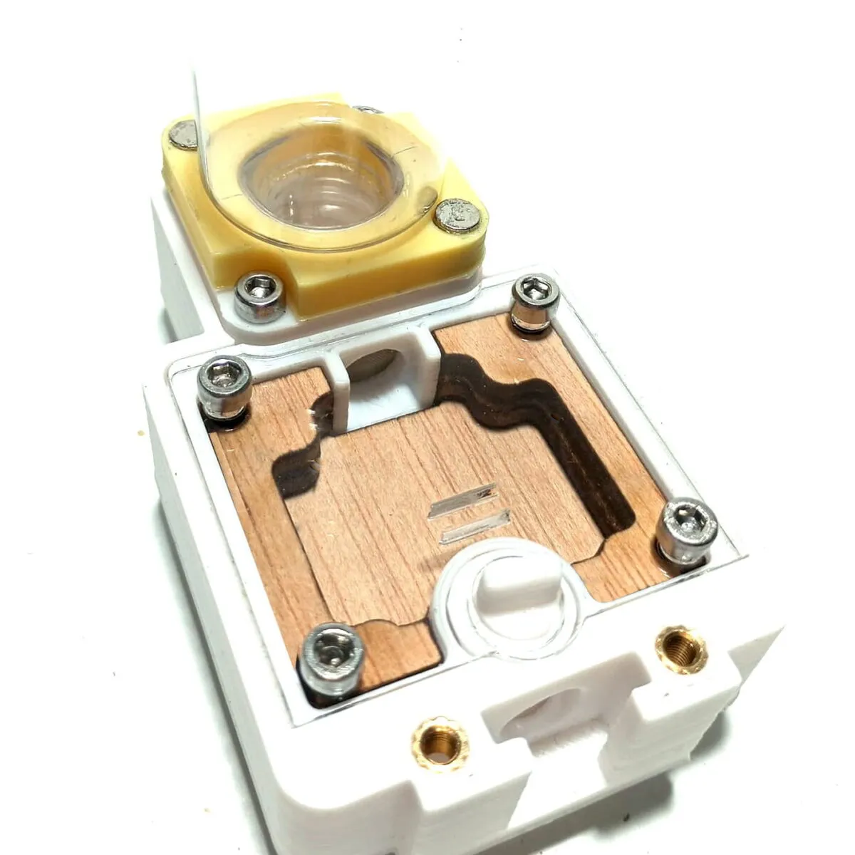 Hormiguero 3D de madera 8x5 cm (Reinero) - Imagen 3