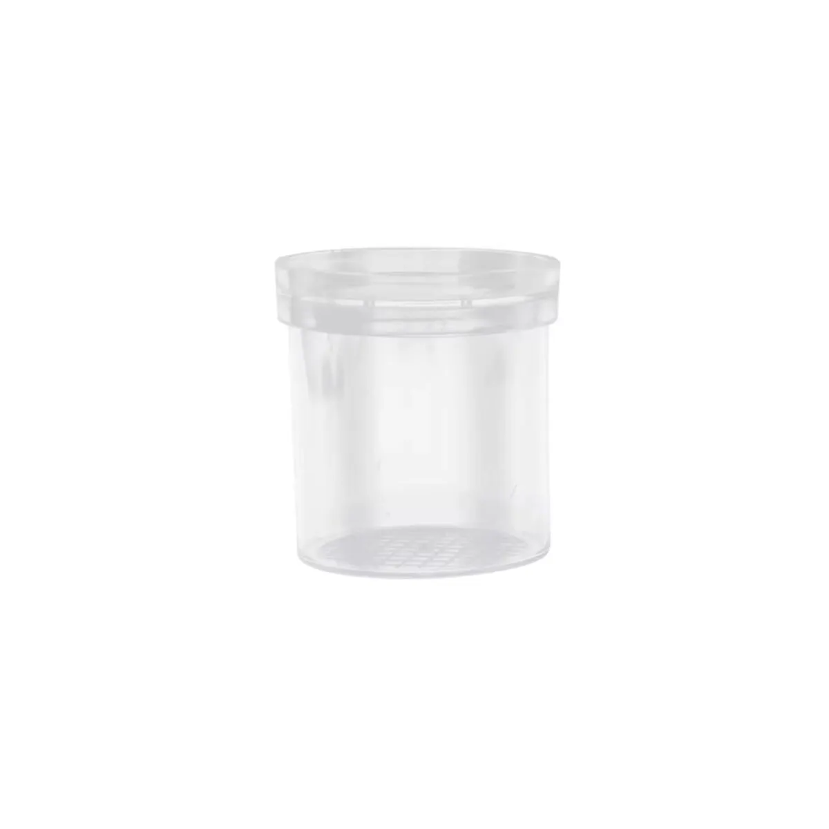 Bote con lupa para insectos | Accesorios artrópodos - ANTDERGROUND
