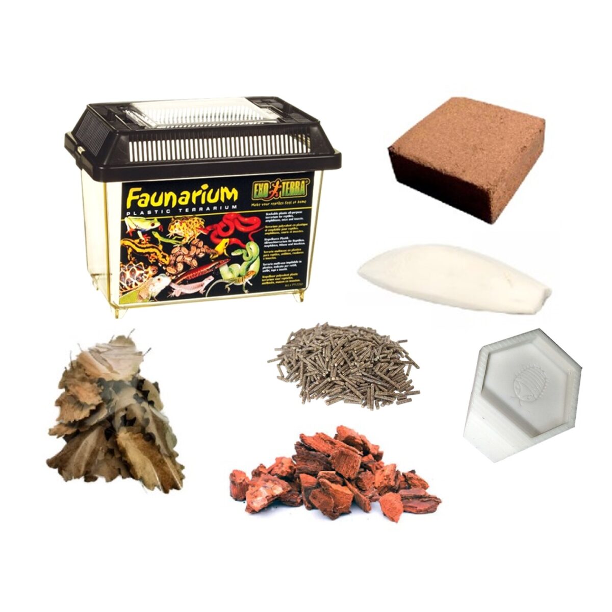 Starter Kit for Isopods