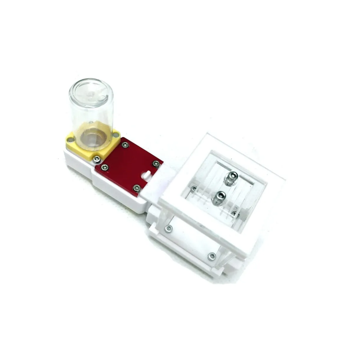 Ant colony starter kit (v2) - Image 2