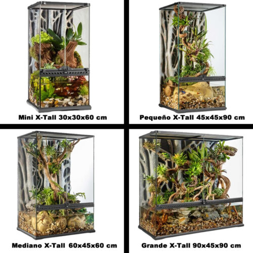 Paludarium et terrarium en verre Exo Terra (Différentes tailles)