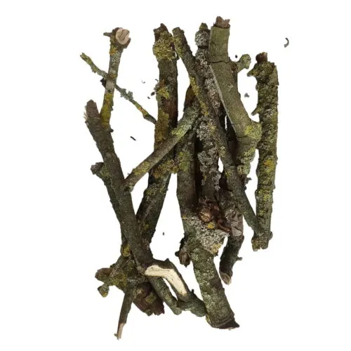 Lichen Branches