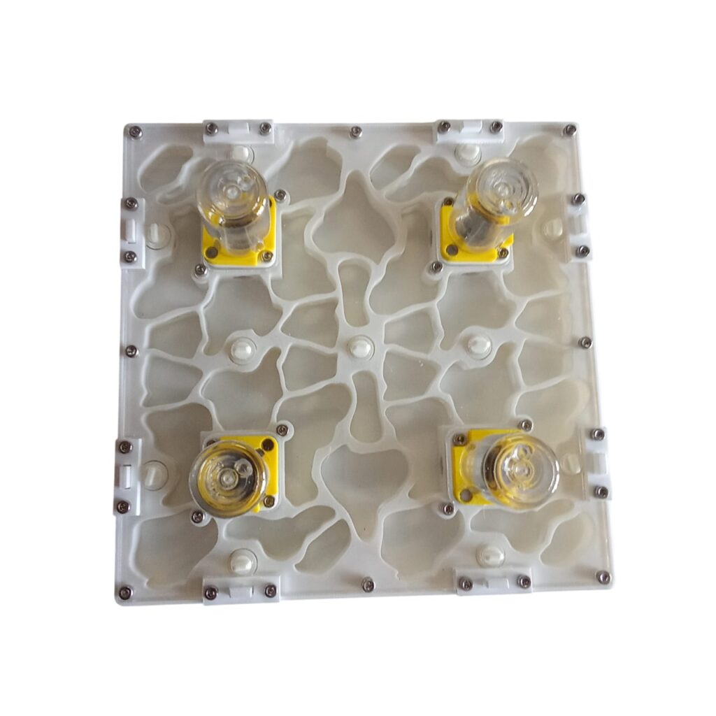 3D Modular Ant Farm (20×20 cm)