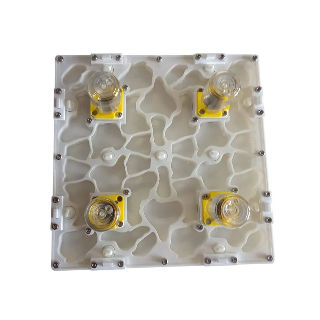 Hormiguero modular 3D (20×20) imagen 2