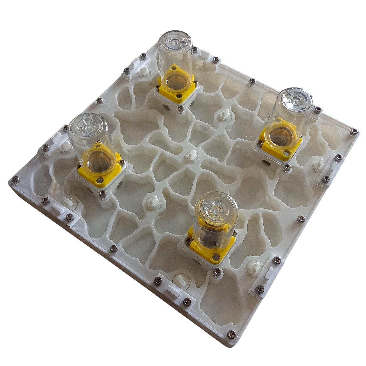 Hormiguero modular 3D (20×20) Hormiguero modular 3D (20×20)