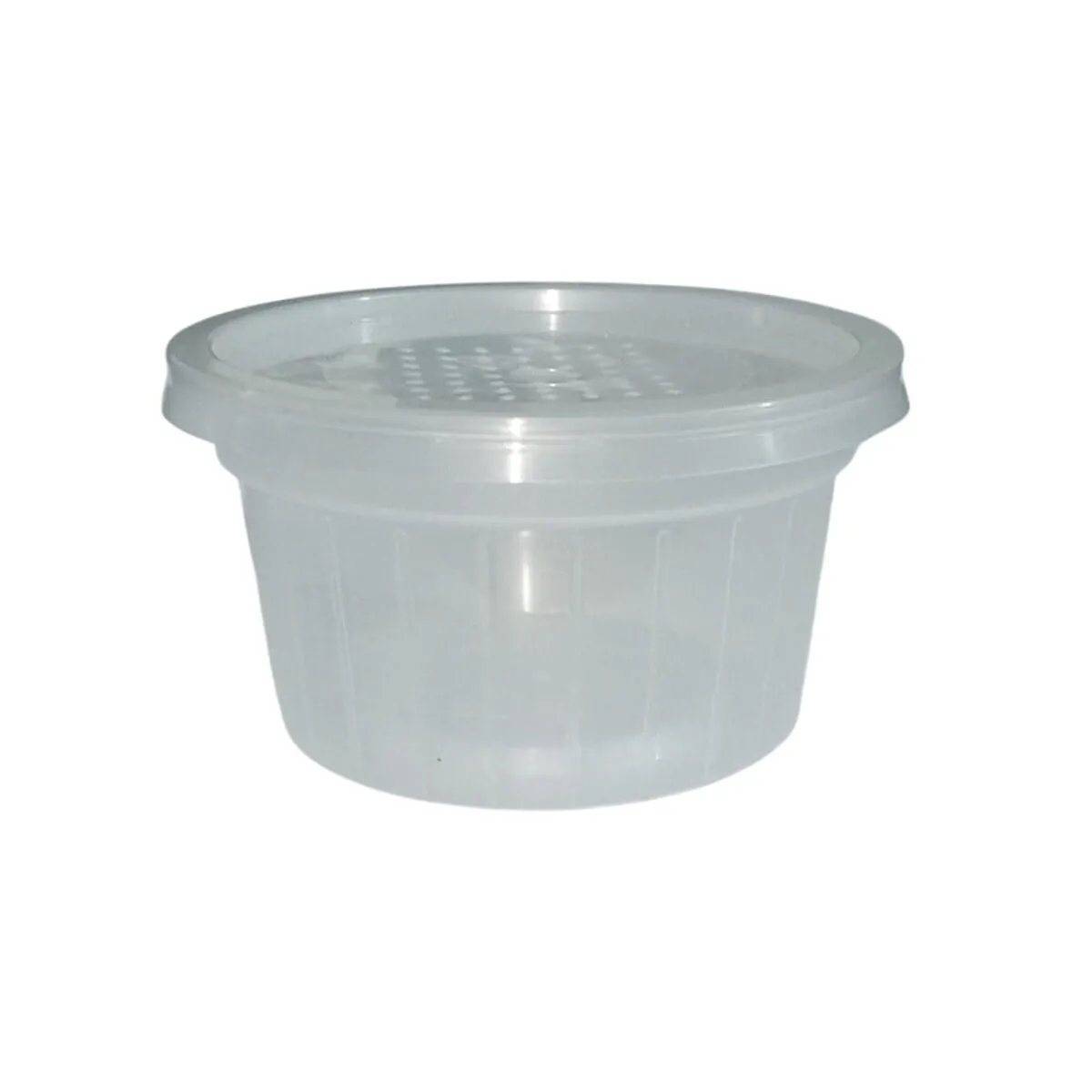 Plastic Container for Insects (100 ml) - ANTDERGROUND