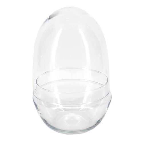 Terrario huevo estilo ovalado