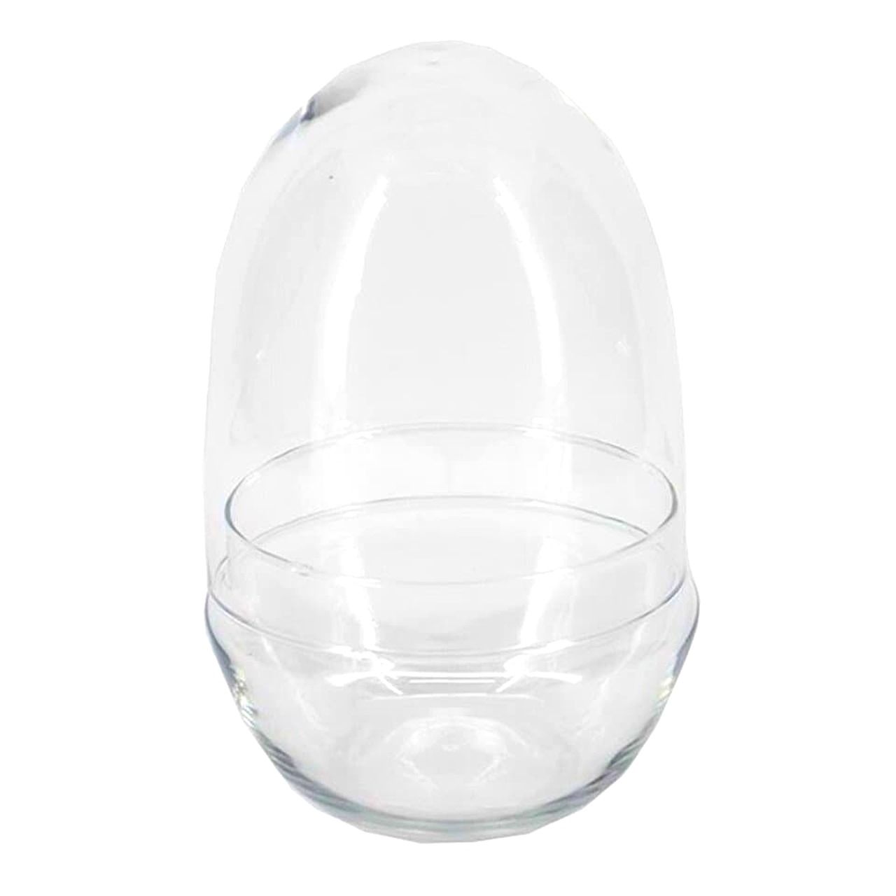 Terrario huevo estilo ovalado Terrario huevo estilo ovalado