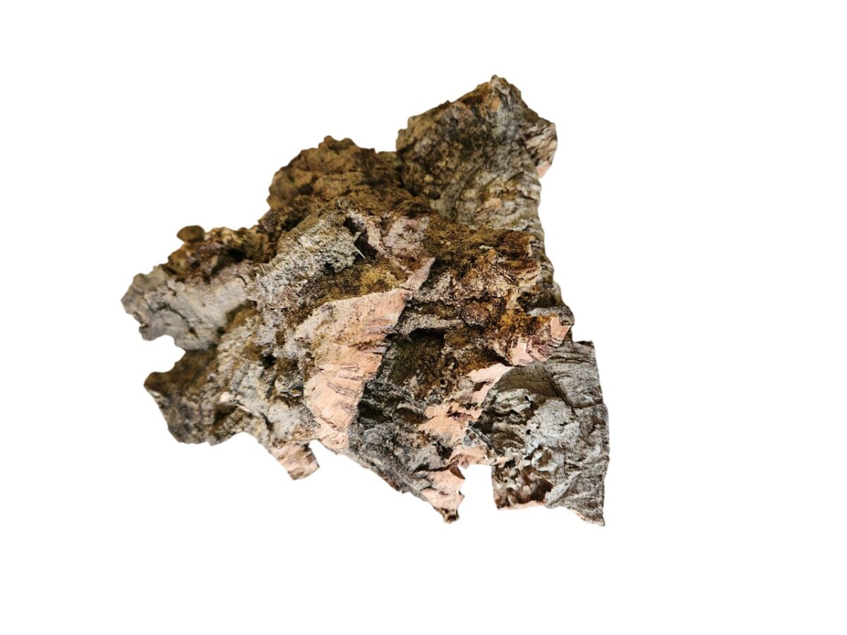 Corteza de Bornizo (Natural) - Imagen 2