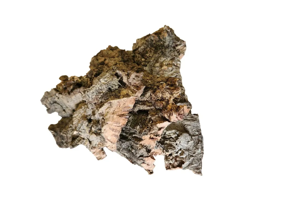 Natural Cork Bark | Terrarium & Foraging Decoration for Isopods and Ants