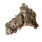 Écorce de Liège Naturelle 🌿 Parfaite pour Terrariums, Isopodes et Fourmis