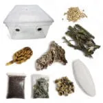 Kit d’Élevage d’Isopodes (Pro)