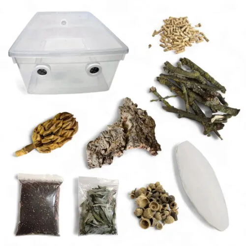 Kit de Criação de Isópodes (Pro)