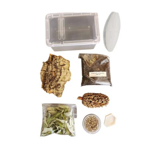 Kit de démarrage pour isopodes v2