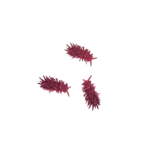 Colémbolo Thai Red Spiky