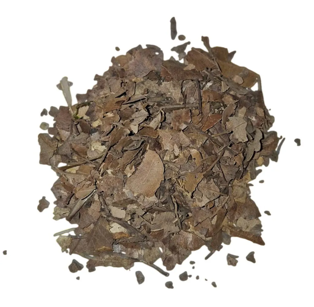 Hojarasca de roble, encina y haya