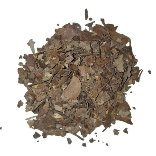 Hojarasca de roble, encina y haya